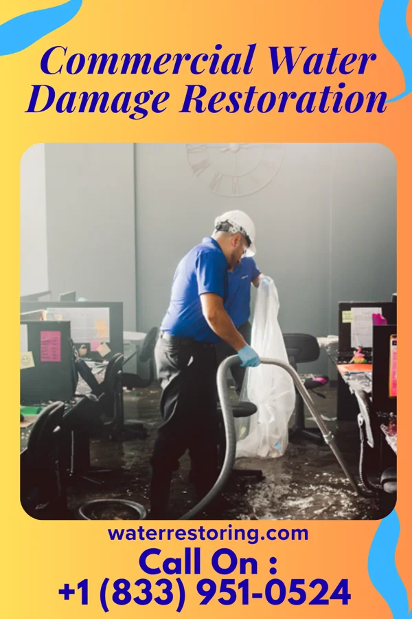 Commercial Water Damage Restoration in Menlo, GA