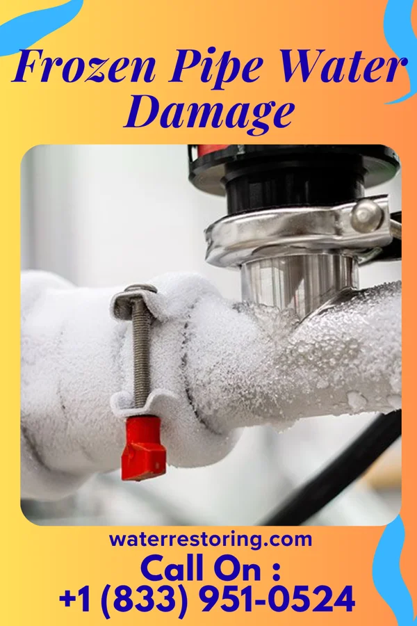 Frozen Pipe Water Damage in Menlo, GA
