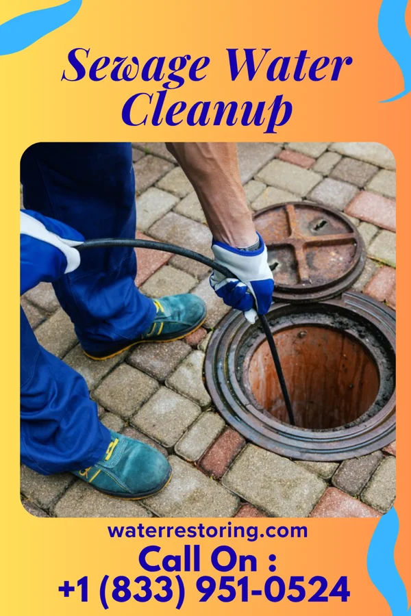 Sewage Water Cleanup in Menlo, GA