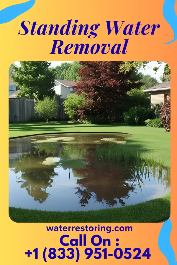 Standing Water Removal in Menlo, GA
